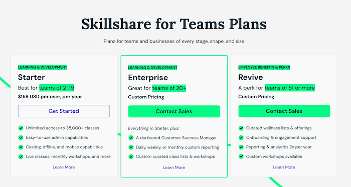 Skillshare Team Plan