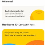 Headspace Profile